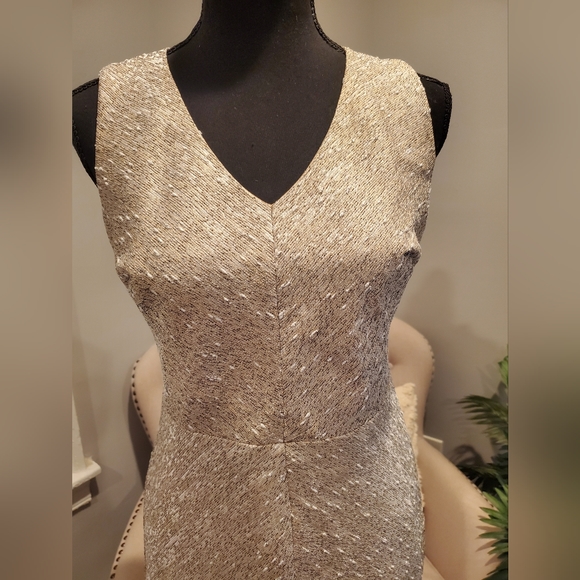 Ann Taylor Dress - Picture 4 of 7